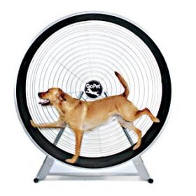 Dog Exercise Wheel for Large Dogs (Up to 150 lbs) | Indoor & Outdoor Running Treadmill