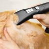 Black Pet Shaver For Dog; Pet Grooming Supplies