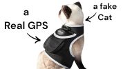 Mini GPS Pet Location Finder Waterproof Collar Tracker with Phone App Size:L