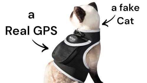 Mini GPS Pet Location Finder Waterproof Collar Tracker with Phone App Size:L