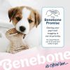 Benebone Puppy 2 Pack Dental Chew Dog Chew