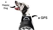 High Tech GPS Pet Transmitter Waterproof Mini Location Tracking Device Size:L