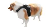 Mini GPS Collar Animal Tracking Devices GSM Wireless Pet Tracker NEW Size:L