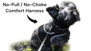 Low Maintenance Mini Dog Tracking GPRS GPS GSM Pet Tracker Waterproof Size:L