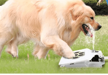 Dog Water Fountain Outdoor Dog Pet Water Dispenser Step-on Activated Sprinkler