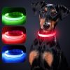 Solar And USB Rechargeable Light Up Pet Collar Waterproof LED Dog Collars For Night Walking