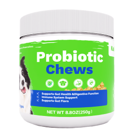 Probiotics Chews For Pets Customized Shape For Digestive Health Pets Supplement Healthy Gut For Dogs (Option: 1pcs)