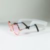 dogs pet sunglasses