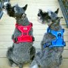 No Pull Dog Harness with Adjustable Fit and Durable Water Resistant Design