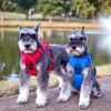 No Pull Dog Harness with Adjustable Fit and Durable Water Resistant Design
